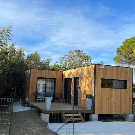 Chalet Contemporain 몽토방 외부 사진